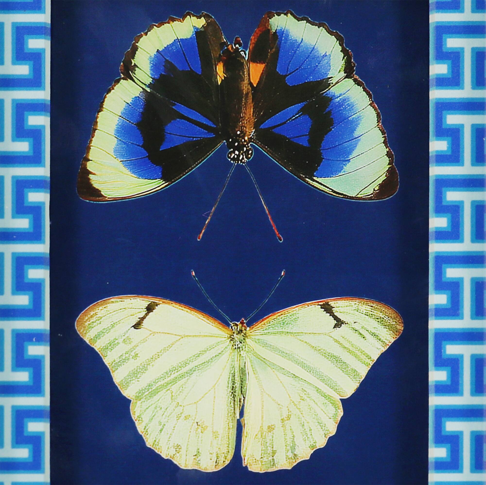 Jonathan Adler x Michaels 5.75" x 7.75" Blue & White Butterfly Art